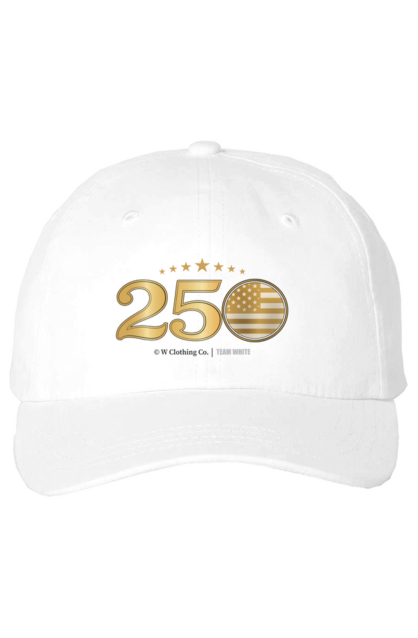 250 America Cap - Team BLUE
